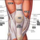 가산곧바로의원 이미지