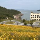 진도개패밀리 | [전남/진도] 쏠비치 진도 호텔동 패밀리 트윈 이용후기(+인클루시브패키지)