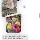 포브(FORVE) | 범일동 자유시장 포브플라워 | 부산 해밀 웨딩촬영 가성비 생화부케