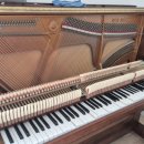 조율농장 이미지