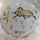 포담티하우스