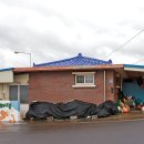 해녀촌식당 이미지