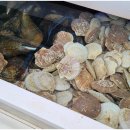 엠티브이6로18번길 이미지