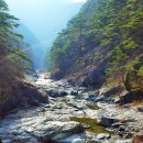 신선계곡 이미지