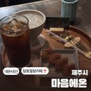 칠성 | [제주도] 마음에온 / 탑동에는 참 엉덩이가 편한 카페가 없다
