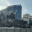 동안구청 사거리 이미지