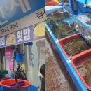 마치블루풀빌라 이미지