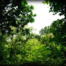 향기가득길 이미지