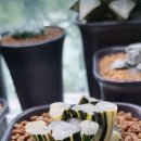 만상농장 이미지