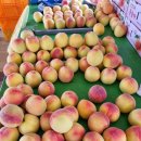 김경식농장 이미지