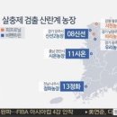 초록당 네이버블로그