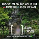 꽃이야기&디자인임팩트 | 7월 화담숲 솔직후기: 주차·순환버스 꿀팁과 숲캉스 패키지 대신 모노레일 1-3구간 추천 (광주시민 할인)