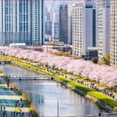 대한민국술테마박물관 이미지