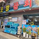 원조포항물횟집 이미지