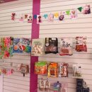 101 애견미용 이미지