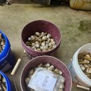 마검포레져하우스가족독채수영장 이미지