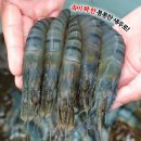 블랙타이거