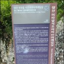 소주동작은도서관 네이버블로그