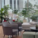 헤어로비 - 여주시 | 강남 단독홀 웨딩홀 찾는다면, 압도적인 셀럽앤어셈 로비 분위기 후기