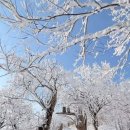 해피데이 이미지