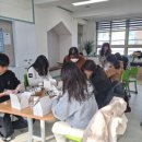 쌍림중학교 이미지