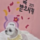 꾸미멍 이미지