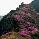 지금! 여수 이미지