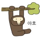 펫필드