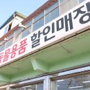 그린펫클럽 네이버블로그