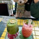 서울 암사동 유적 화장실 이미지