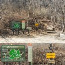 팔공산녹색길 숲길 1코스 이미지