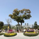 시민공원 이미지