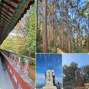 건강체조,라인댄스 | 세종청주힐링건강체조강사;새롬동 달밤의체조.라인댄스 종강식