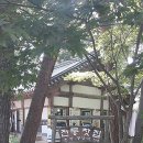속리산동행 이미지