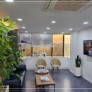 드림보청기 이미지