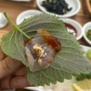 부산강서구회맛집 광림횟집에서 회정식 먹은 후기