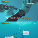 나라에이스 이미지