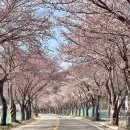 가야산로 이미지