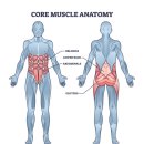 유니드 짐 이미지