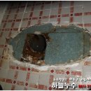 황궁모텔 Daum카페