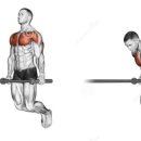 리메디얼 휘트니스 전남대점 이미지