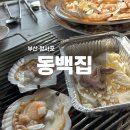 동백집 | 부산 청사포 조개구이 맛집 동백집 후기