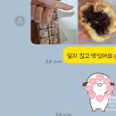 연호두국회의 이미지