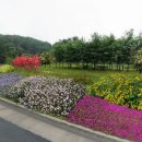 서부순환로 이미지