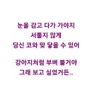 나 늙으면 당신과 살아보고 싶어 이미지