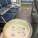 어림1길 8, (안림동) | 여름의 일, 묵호 (25.10.11 - 12)