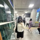 (신)김해택시 노동조합 | 부산국제영화제 120퍼 즐기는 꿀팁