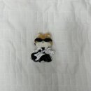 태산1차(아) | 누나 데이식스에요? 남자따라 방콕까지 가줄게^^비행기를 타고가야 만날텐데