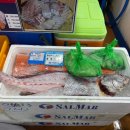 수산 | [노량진수산시장횟집] 신지도 수산 후기