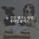 오르헬스케어 | 강아지 눈 영양제 차바이오 차모르 루테인 플렉스 급여 후기